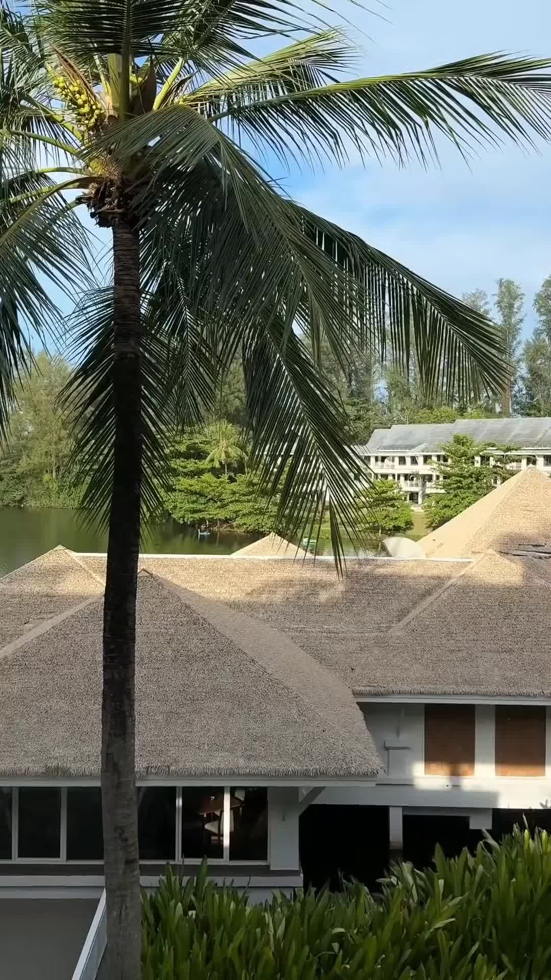 Creator video