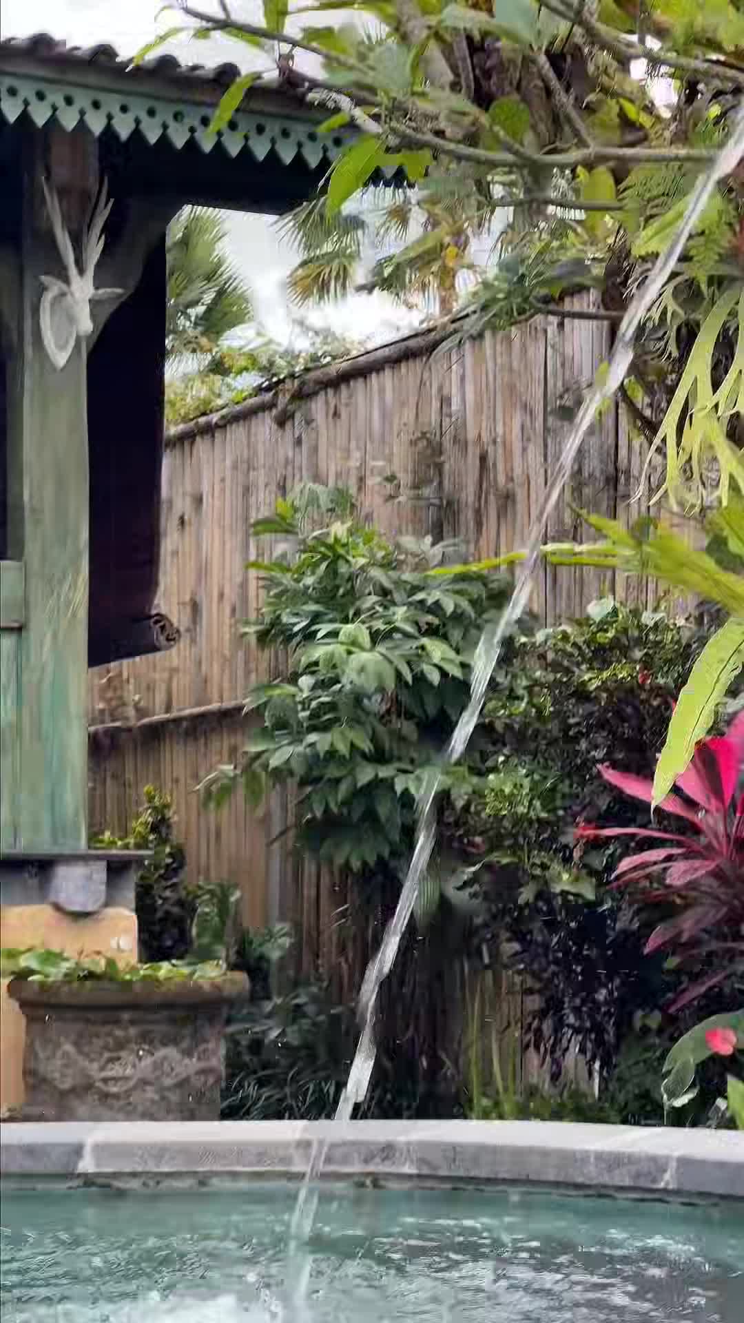 Creator video