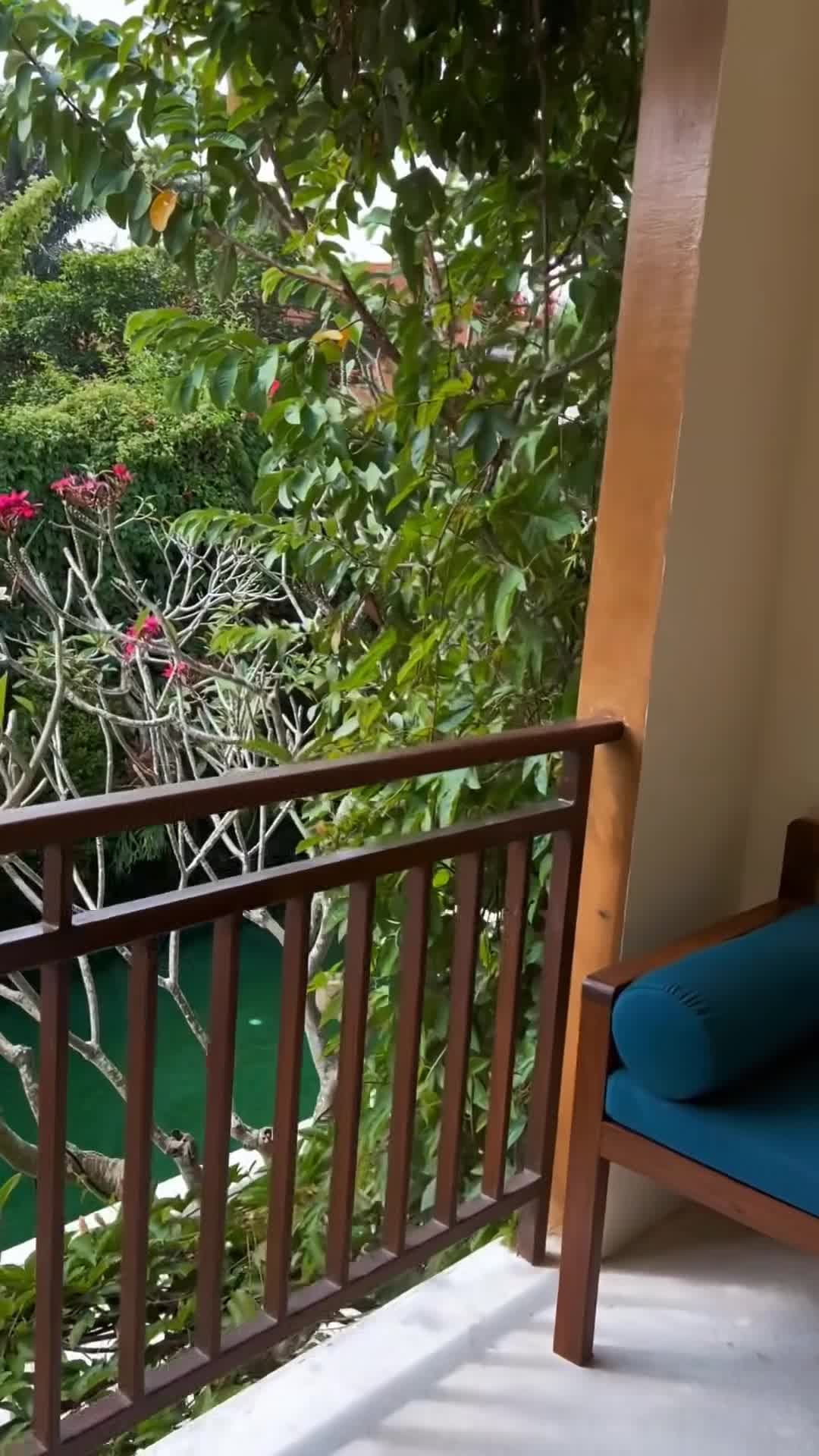 Vidéo du créateur
