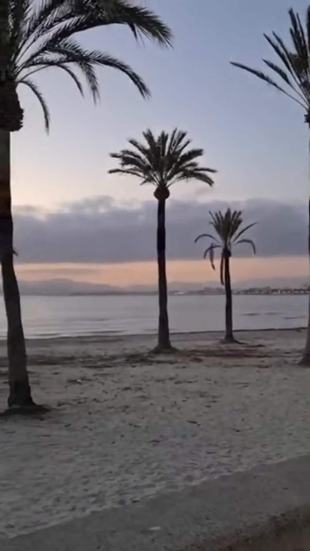 Creator video