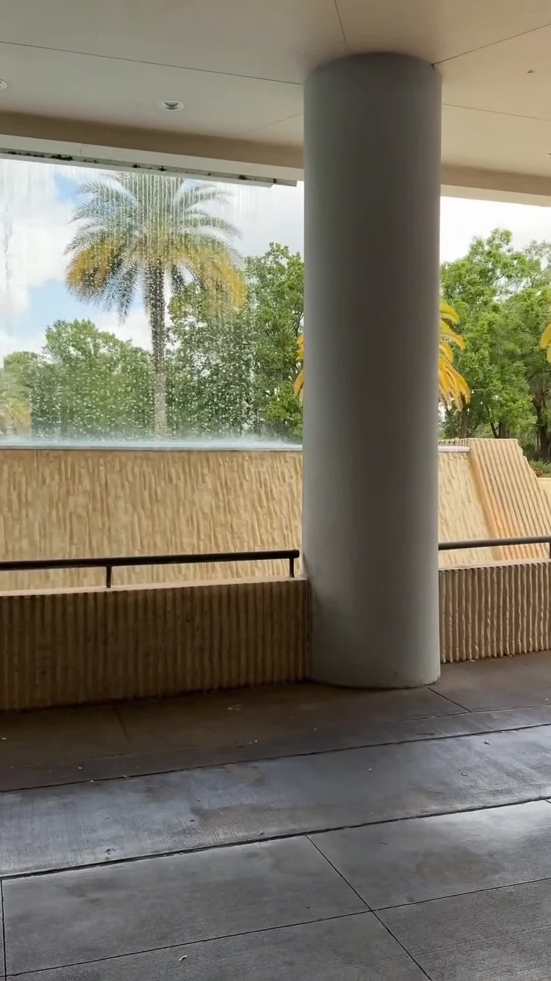 Vídeo hecho por un creador
