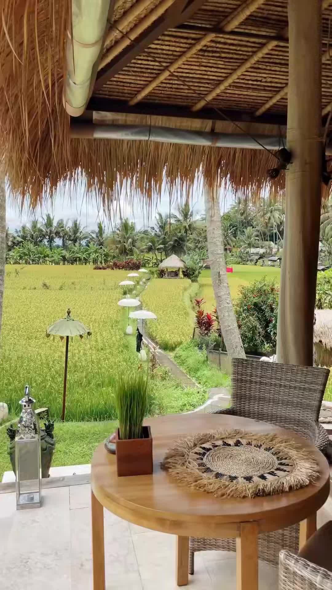 Creator video
