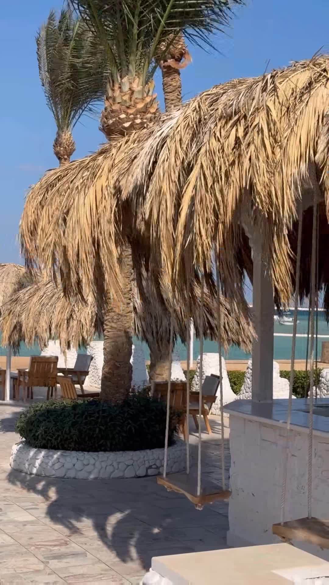 Influencer-Video