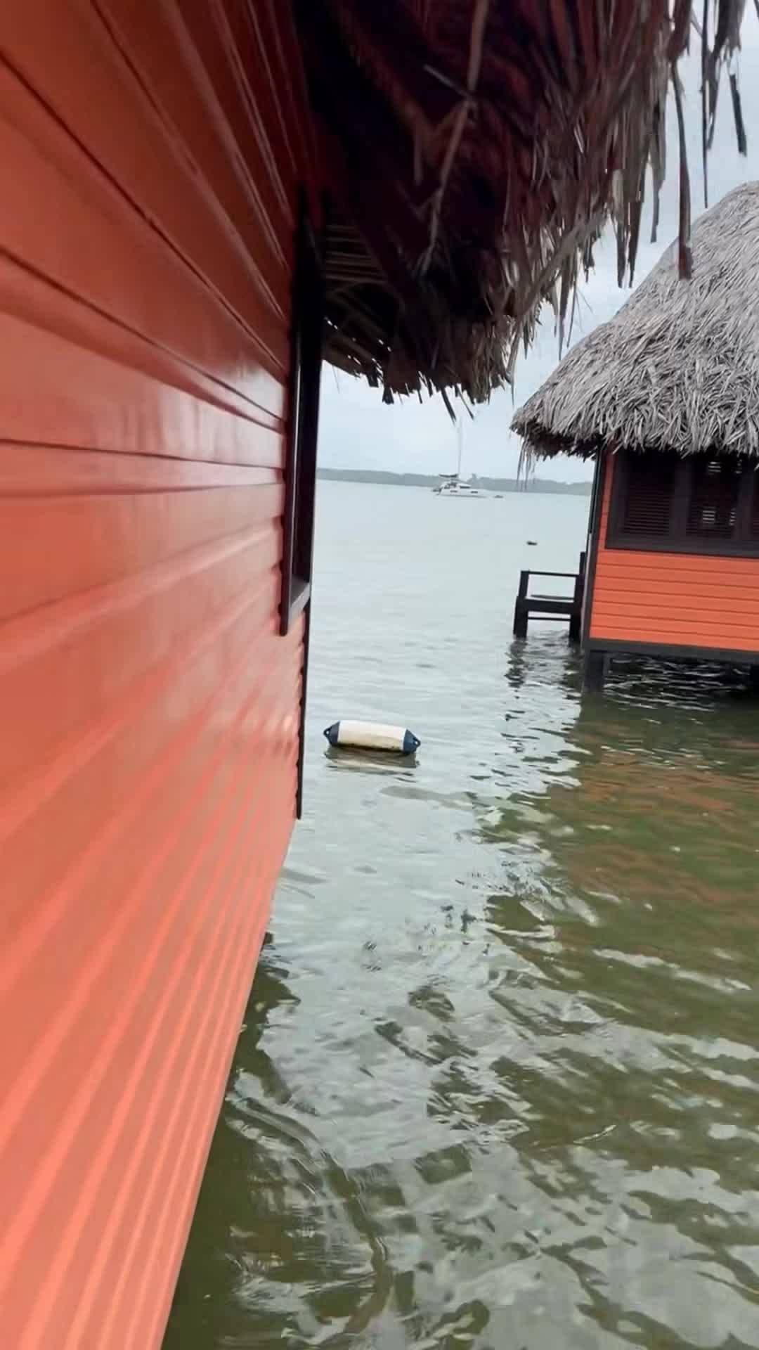 Vídeo hecho por un creador