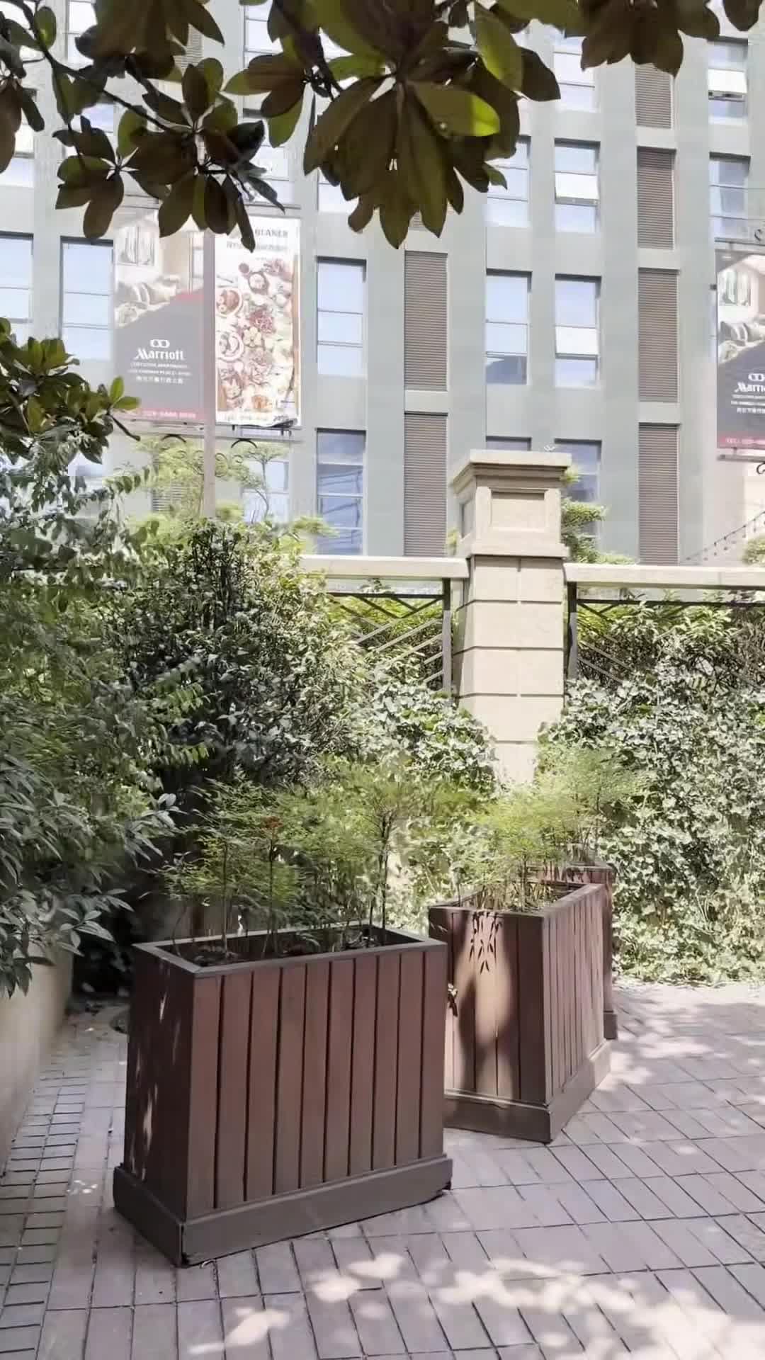 创作者视频