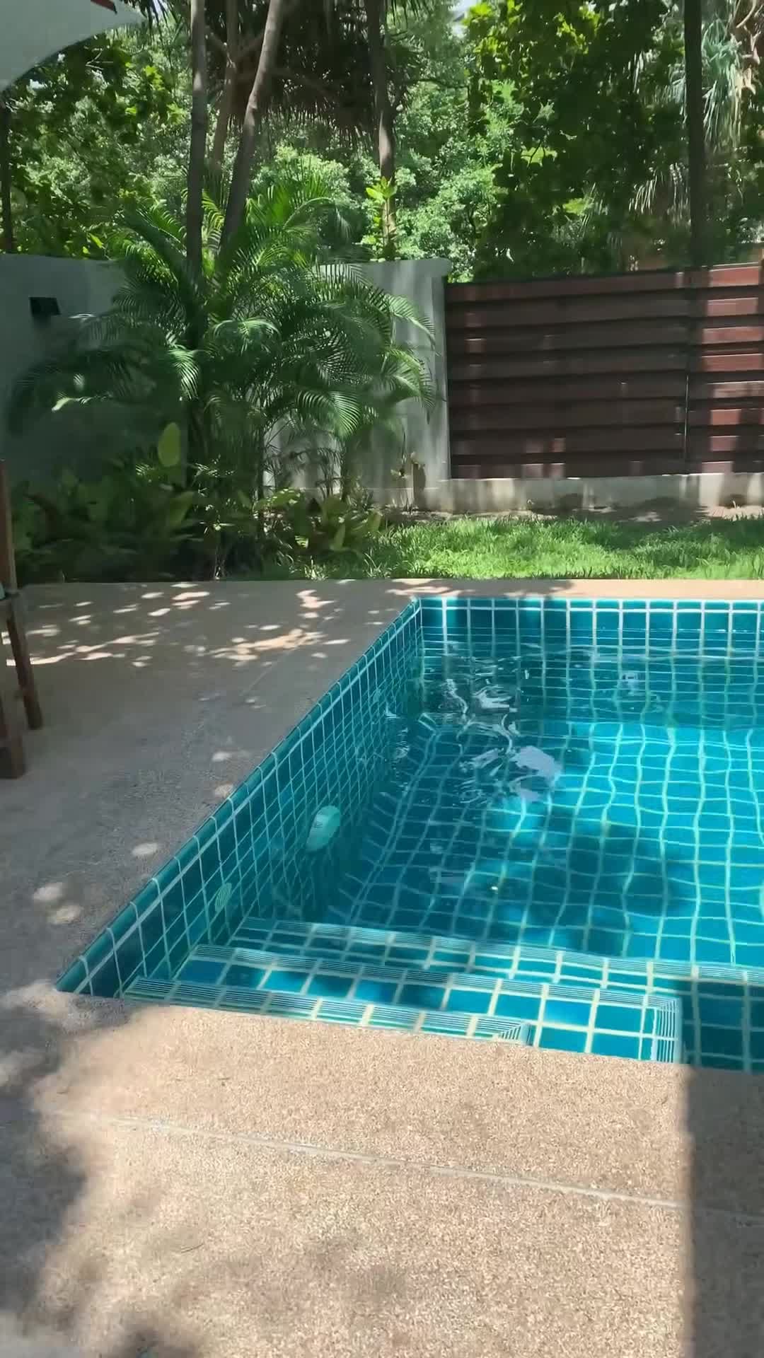 Video realizado por un influencer