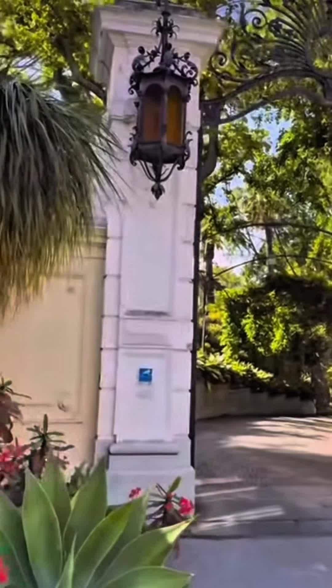 Creator video