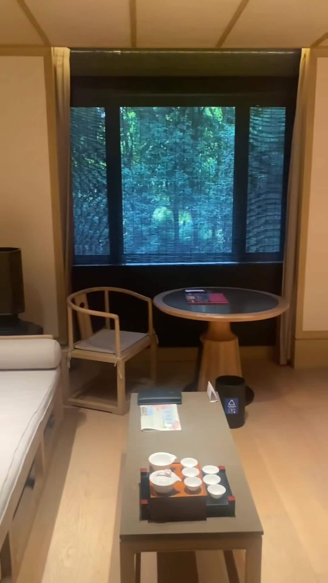 Vidéo du créateur