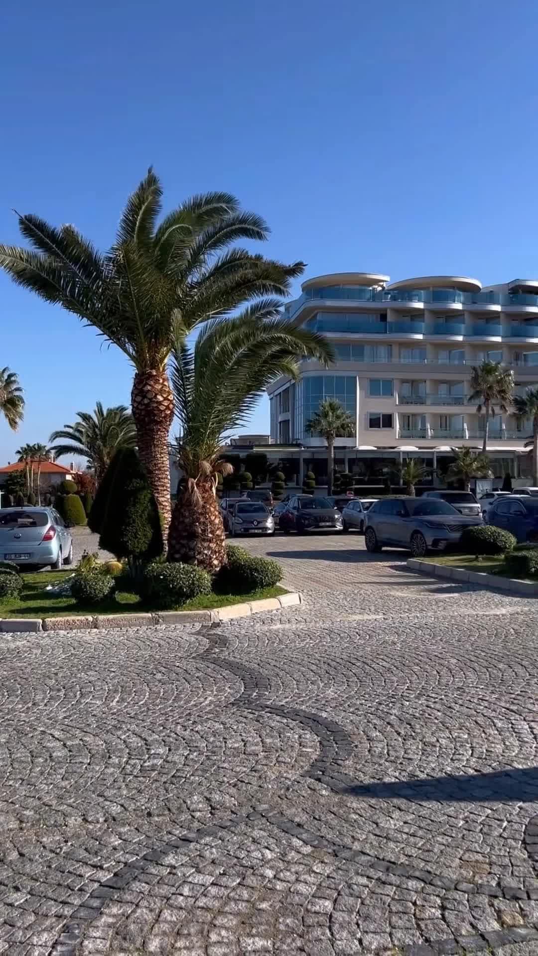 Vidéo du créateur soumise par Natalia Alphan