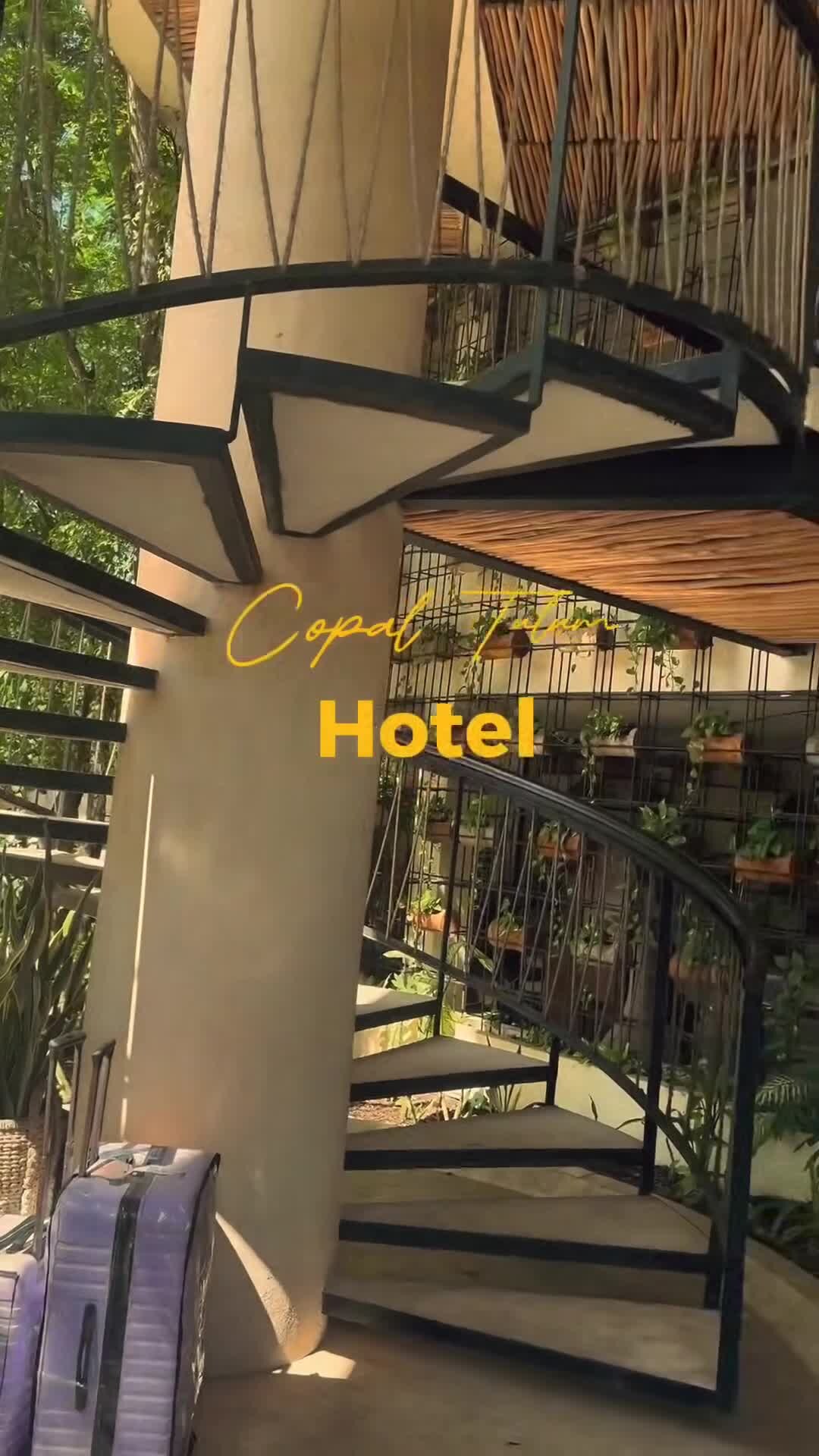 Creator video