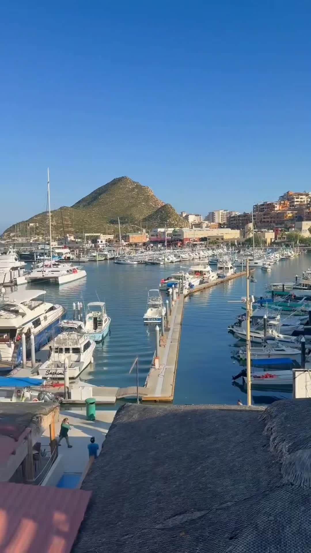 วิดีโอจากครีเอเตอร์