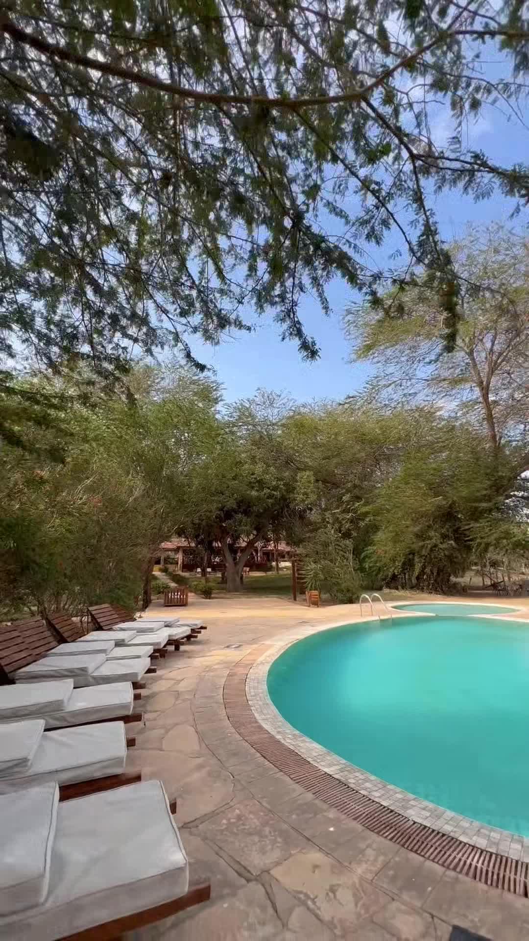 Creator video