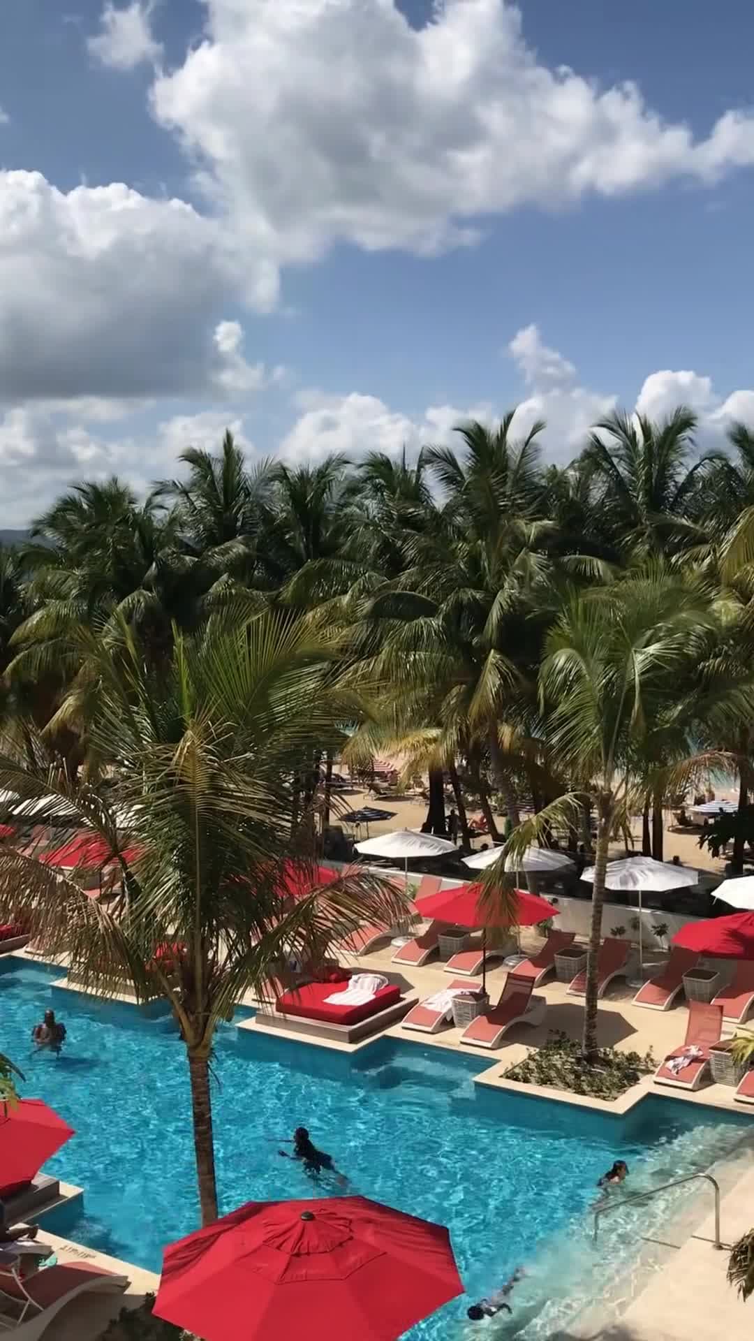 Vidéo du créateur
