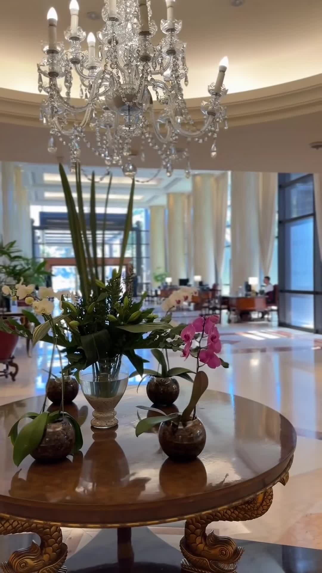 Video của nhà sáng tạo