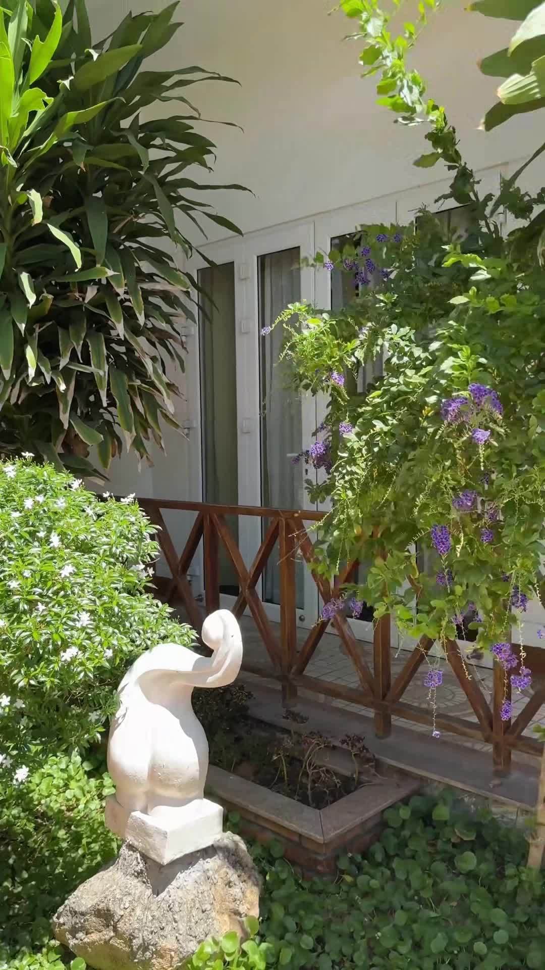 Vídeo fet per un creador