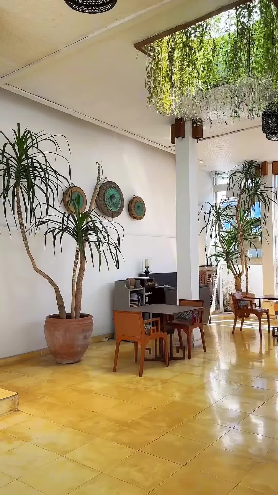 Vídeo hecho por un creador
