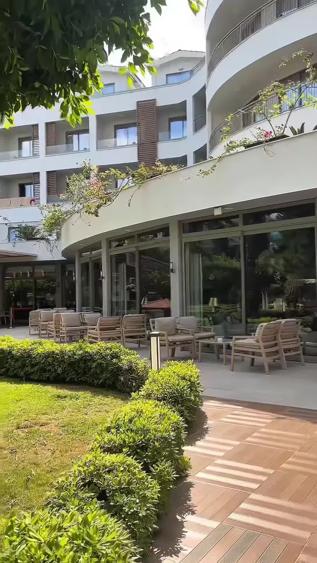 Video của nhà sáng tạo