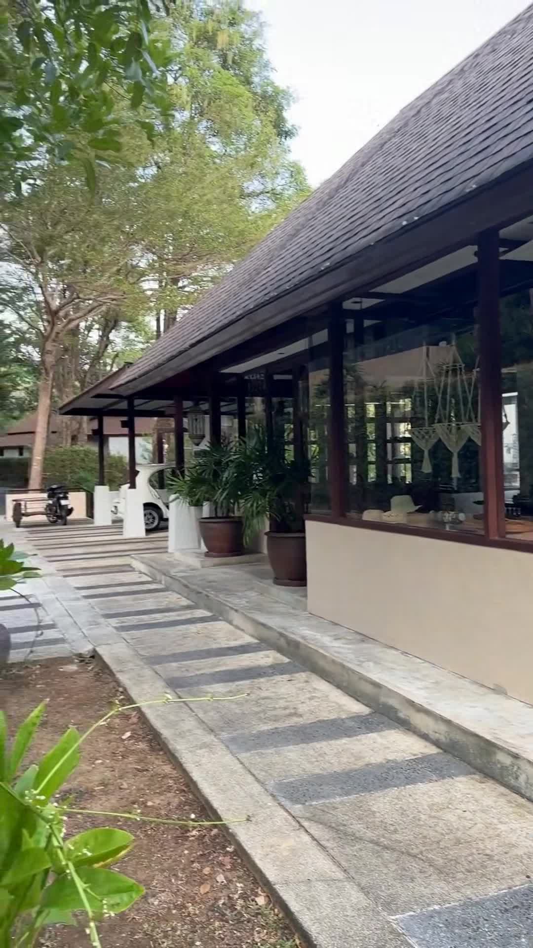 Creator video