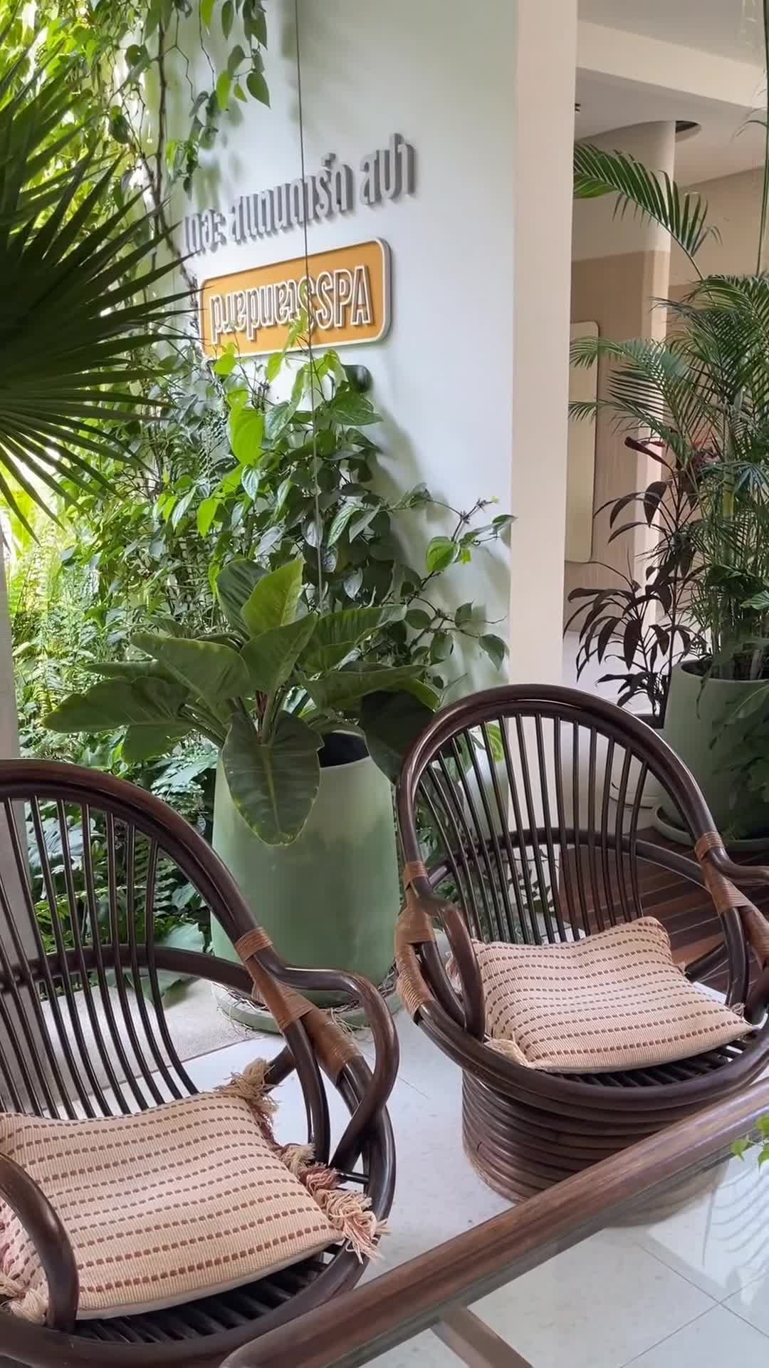Video của nhà sáng tạo