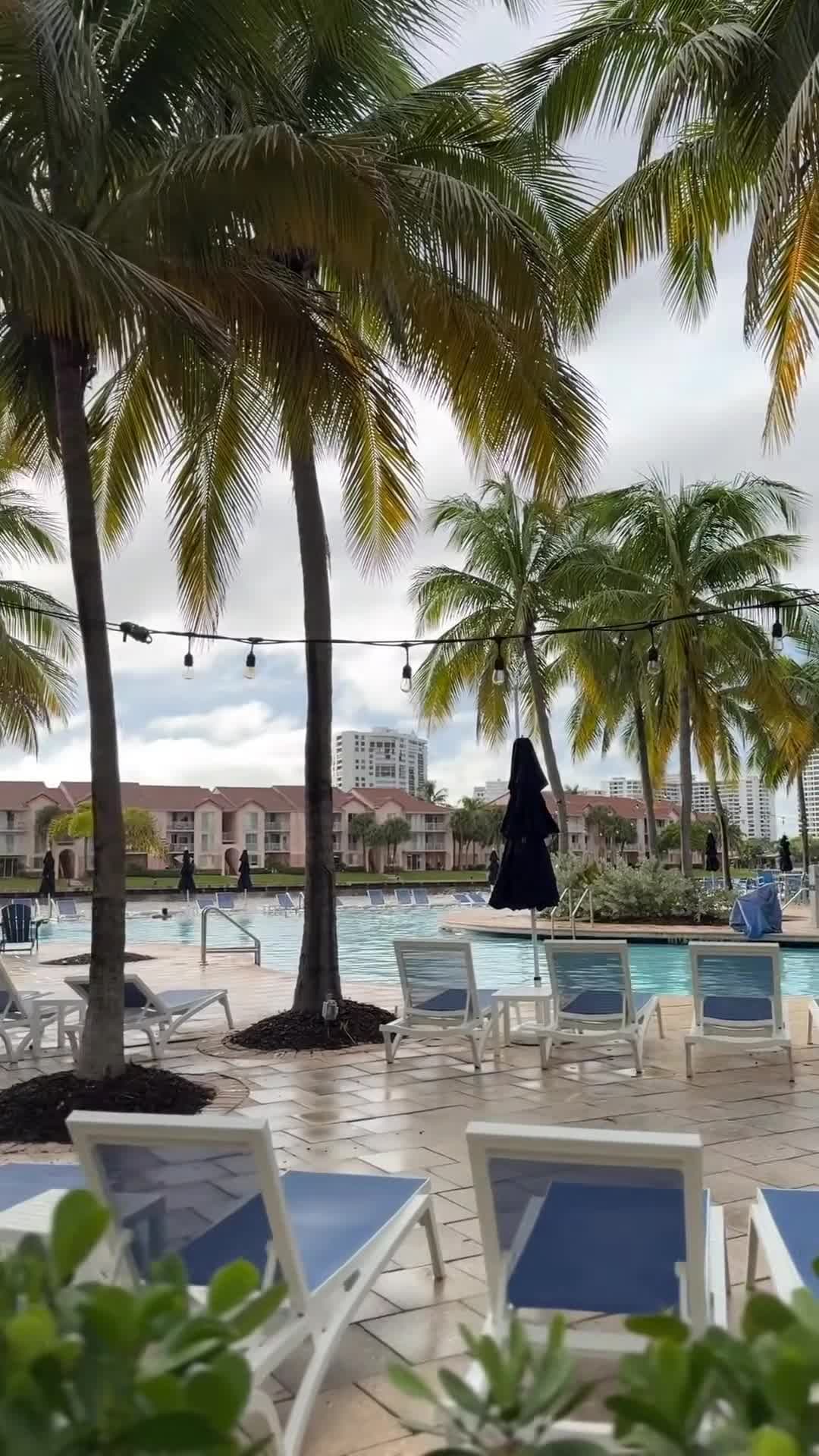 Creator video - submitted by Olivia Polczyk