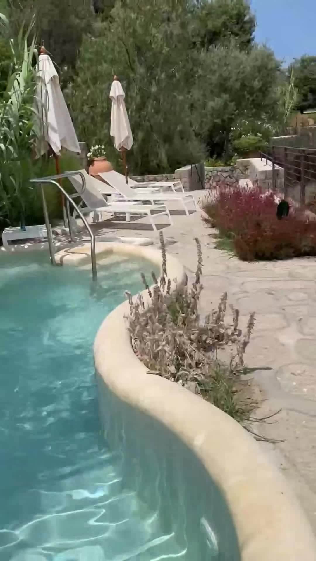 Creator video