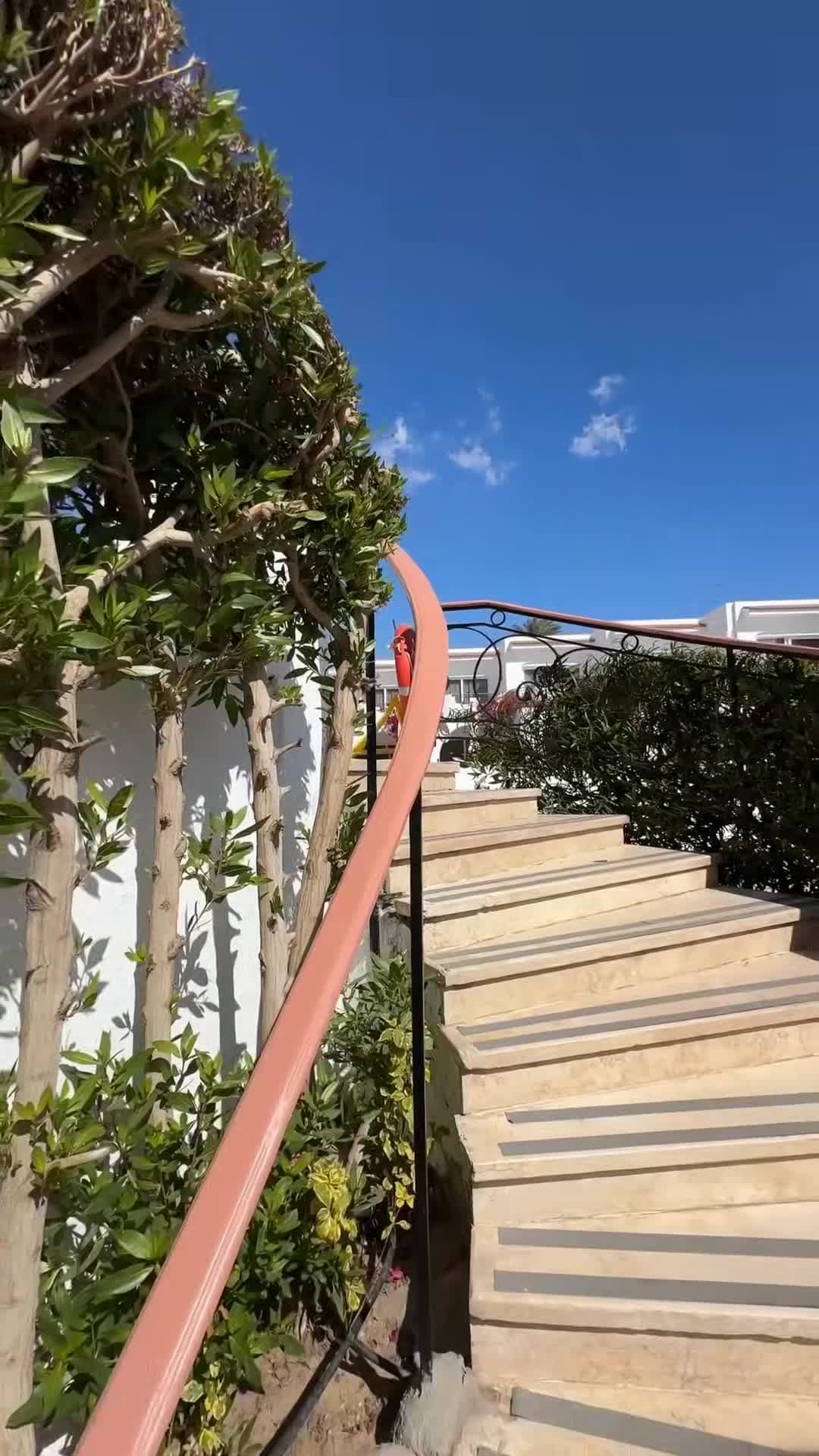 Influencer-Video