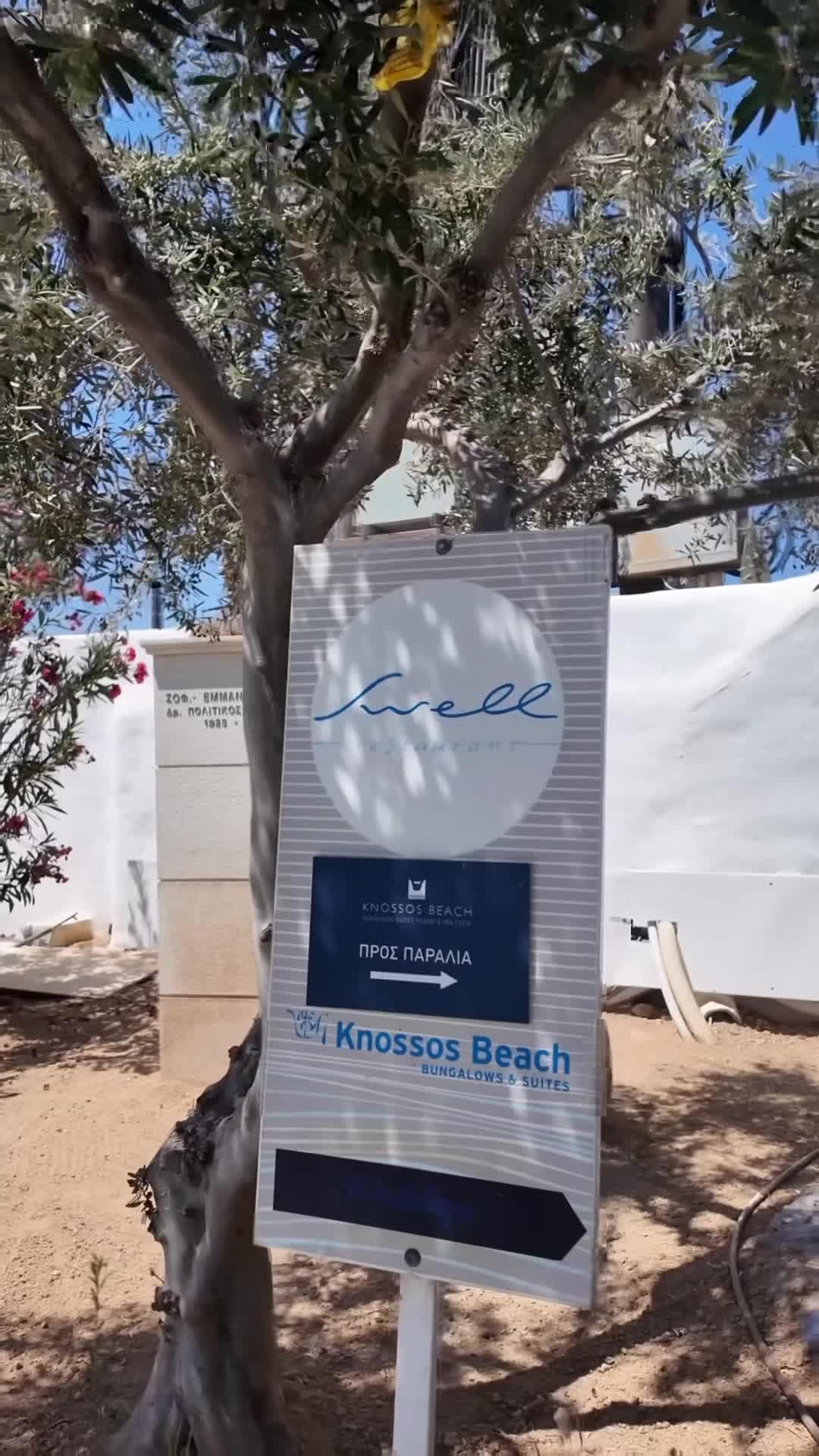 Influencer-Video