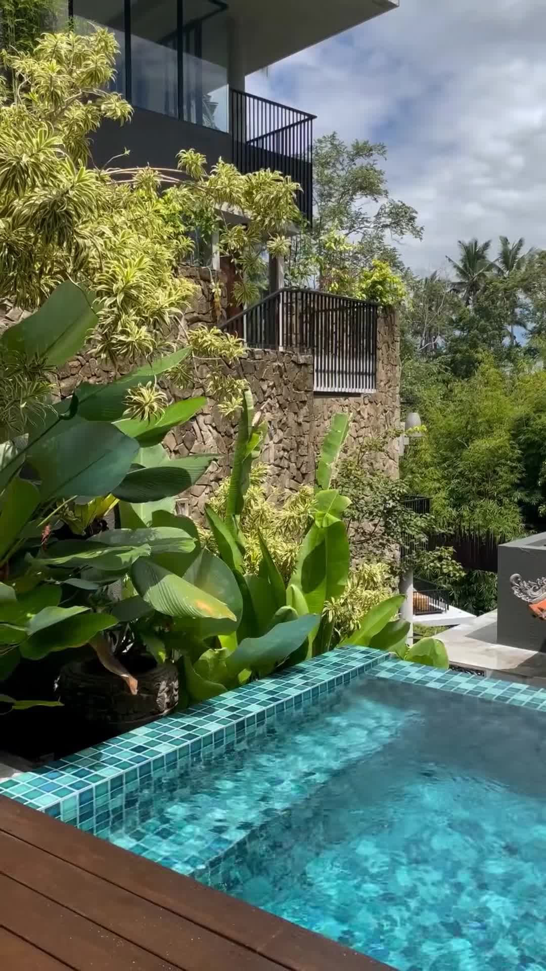 Creator video