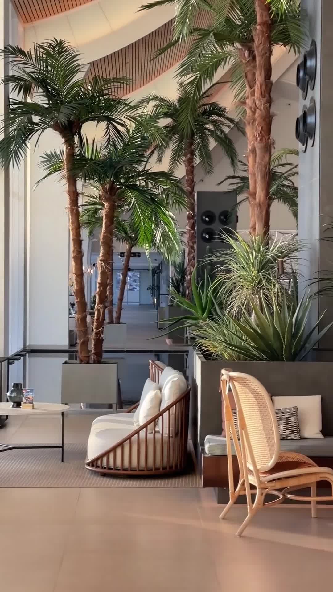 Vidéo du créateur