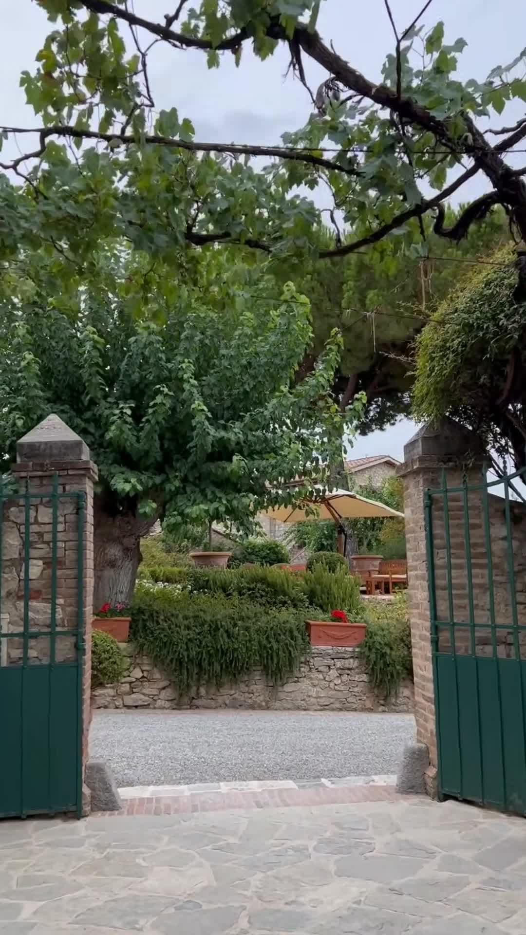 Tartalomkészítő videója