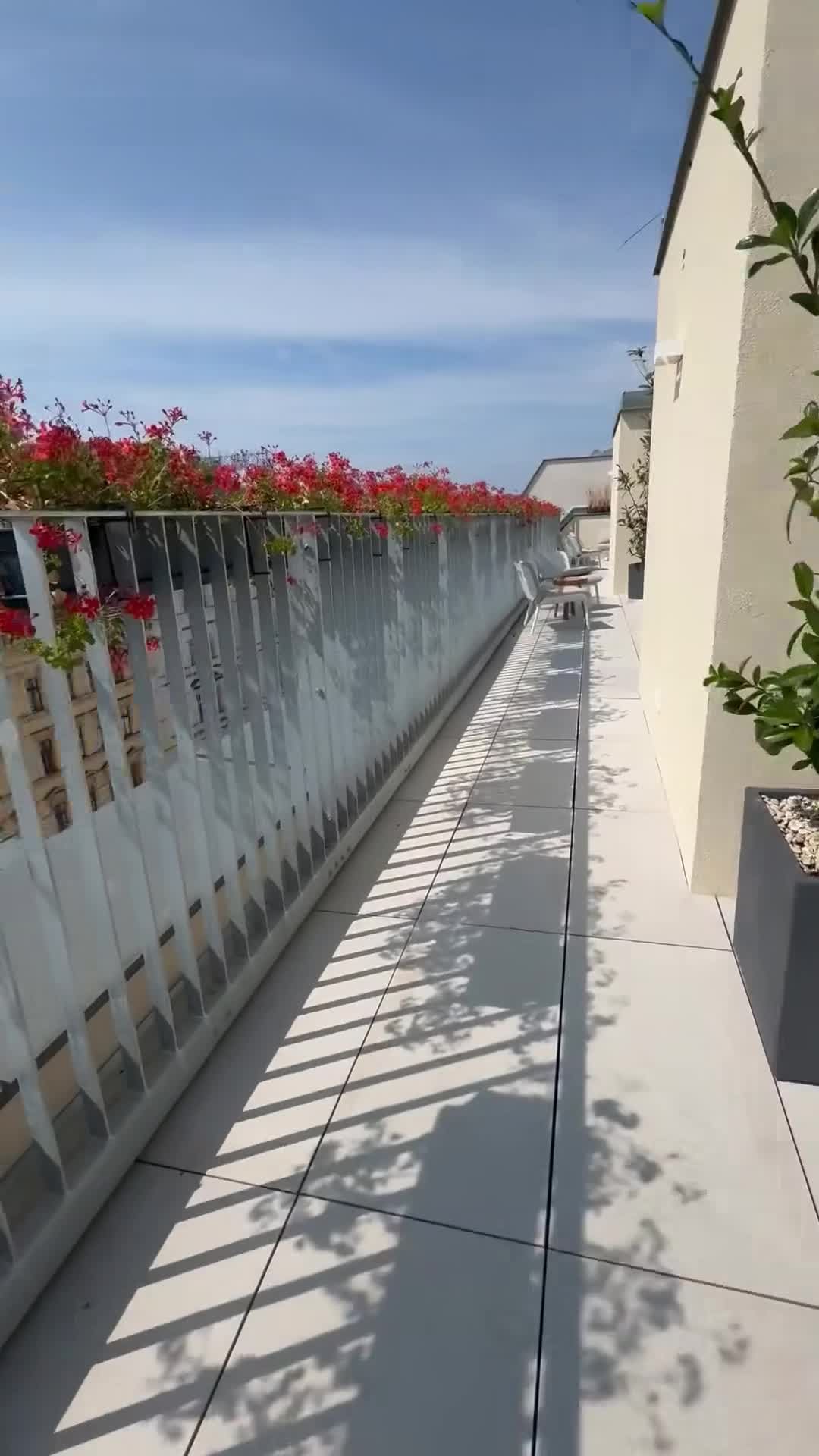 Creator video