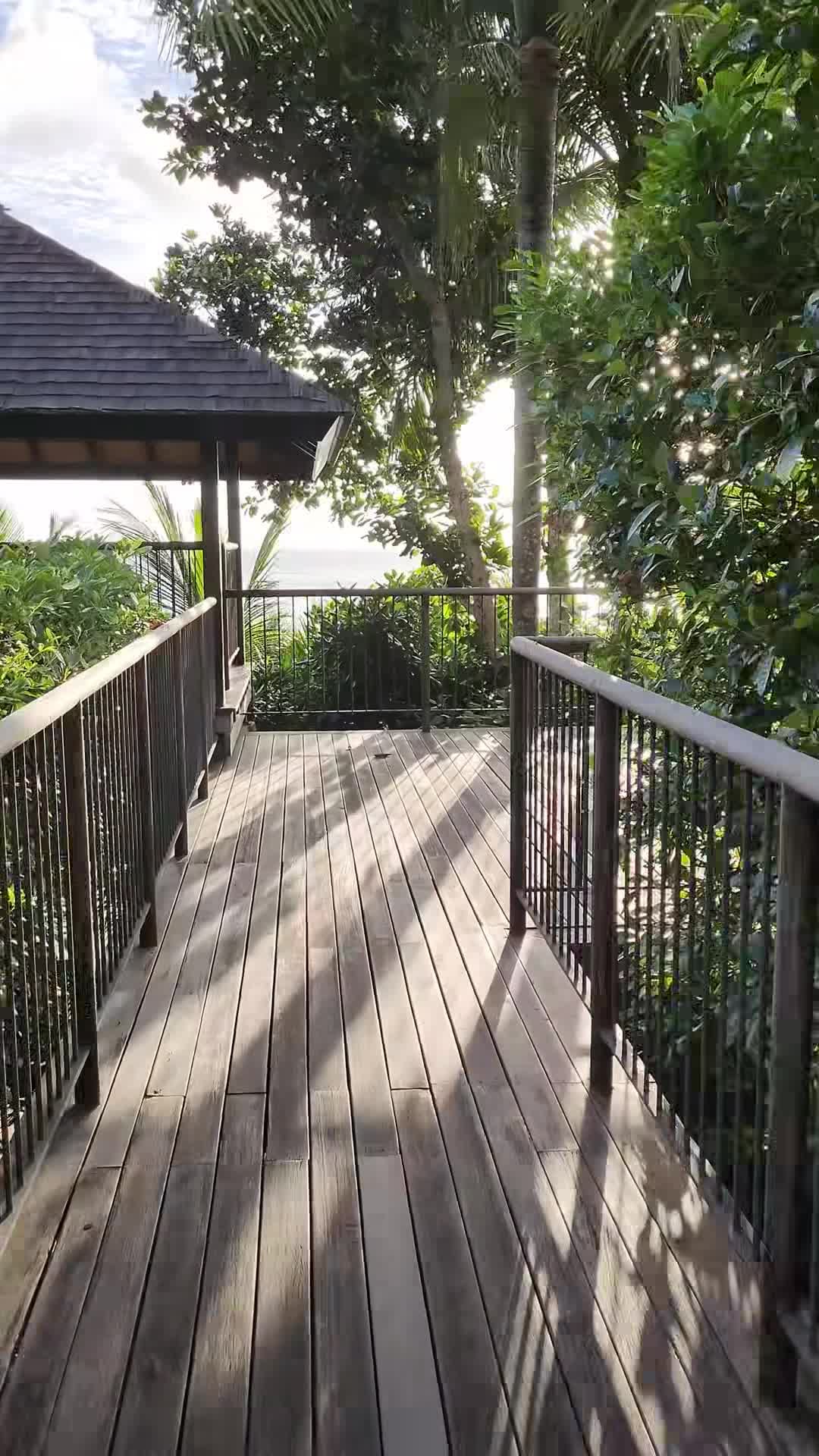 Creator video - submitted by Jasmina Jakab 