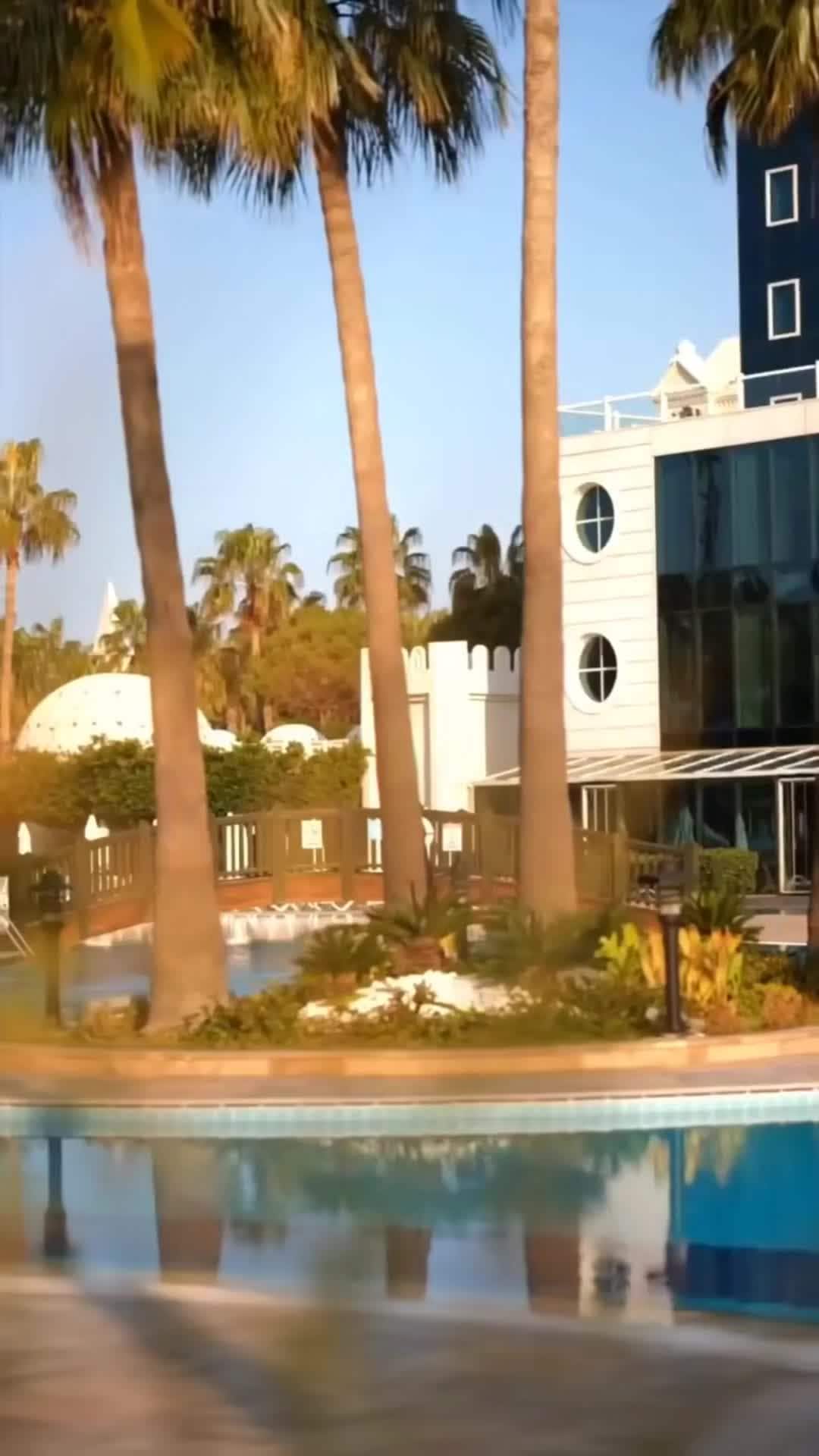 Creator video