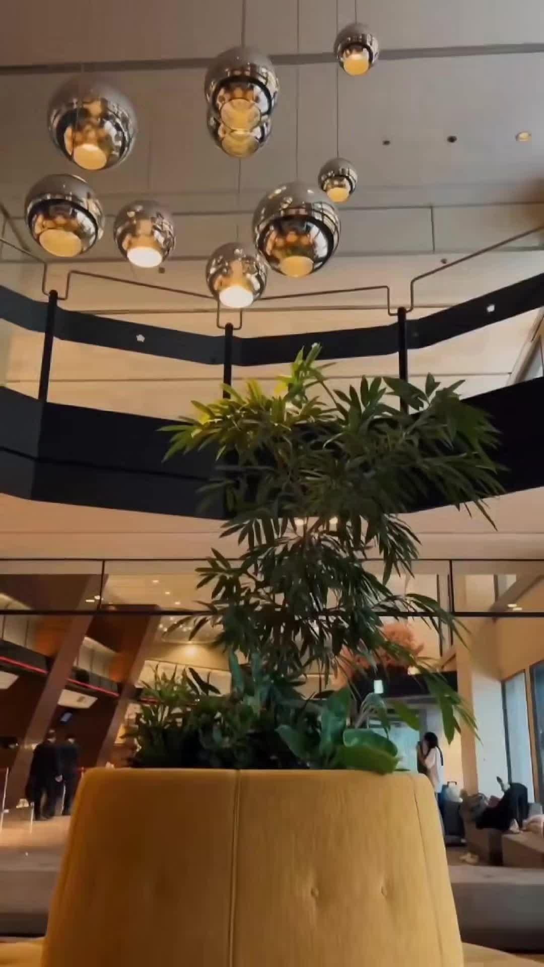فيديو صانعي المحتوى
