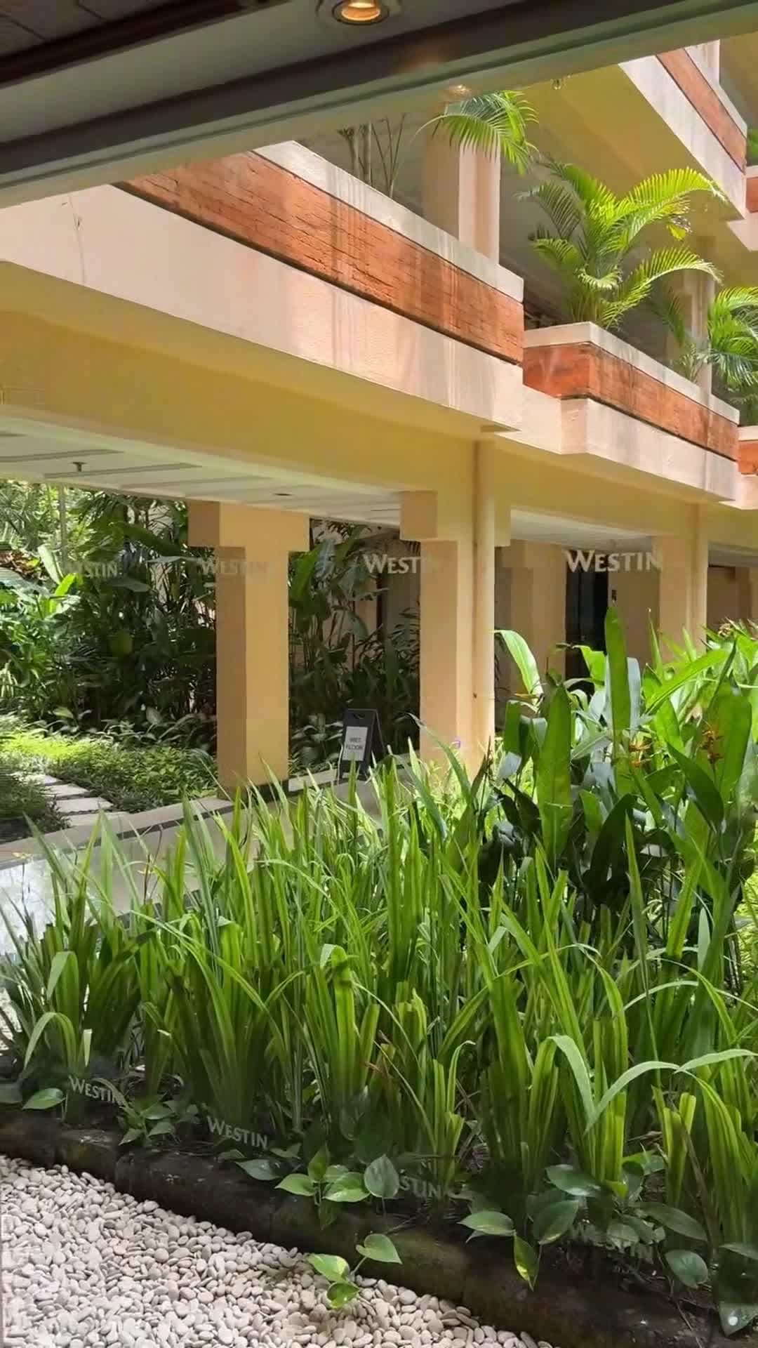 Influencer-Video