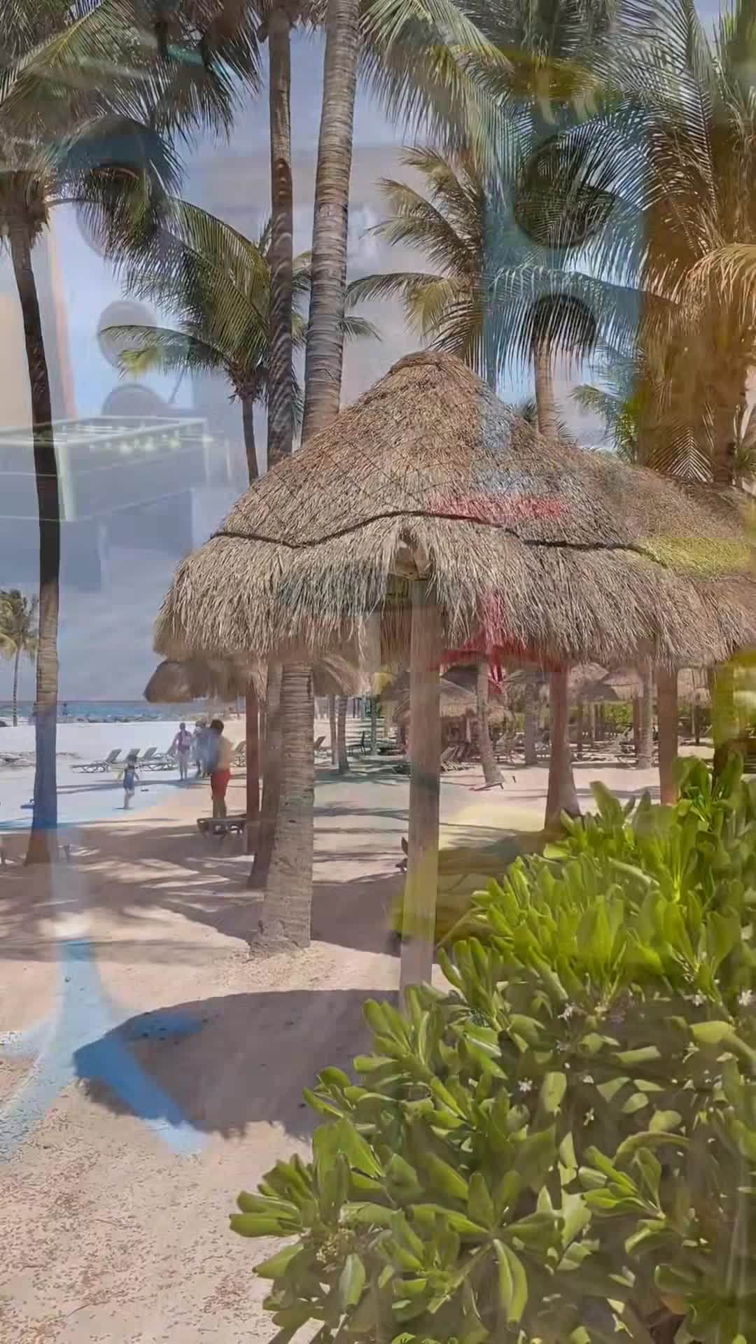 Creator video