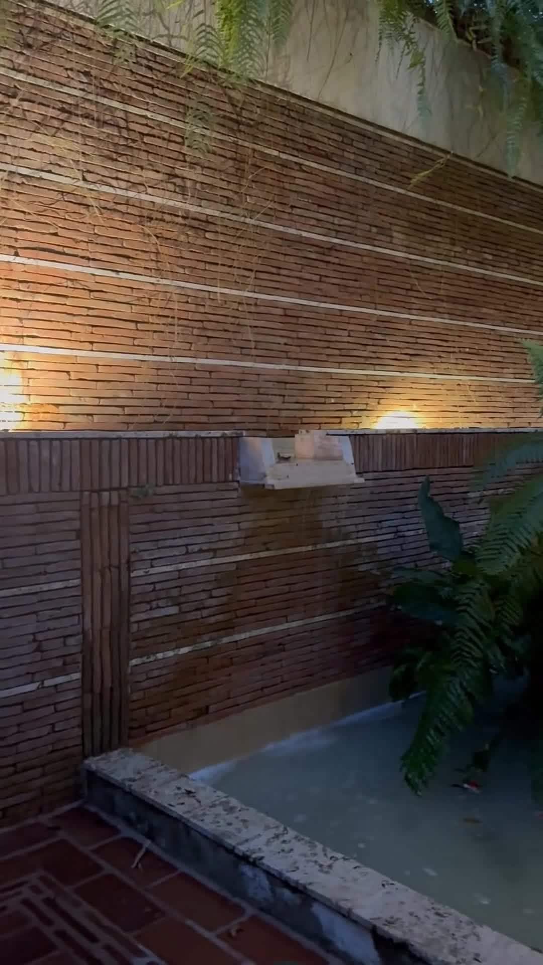 Vidéo du créateur