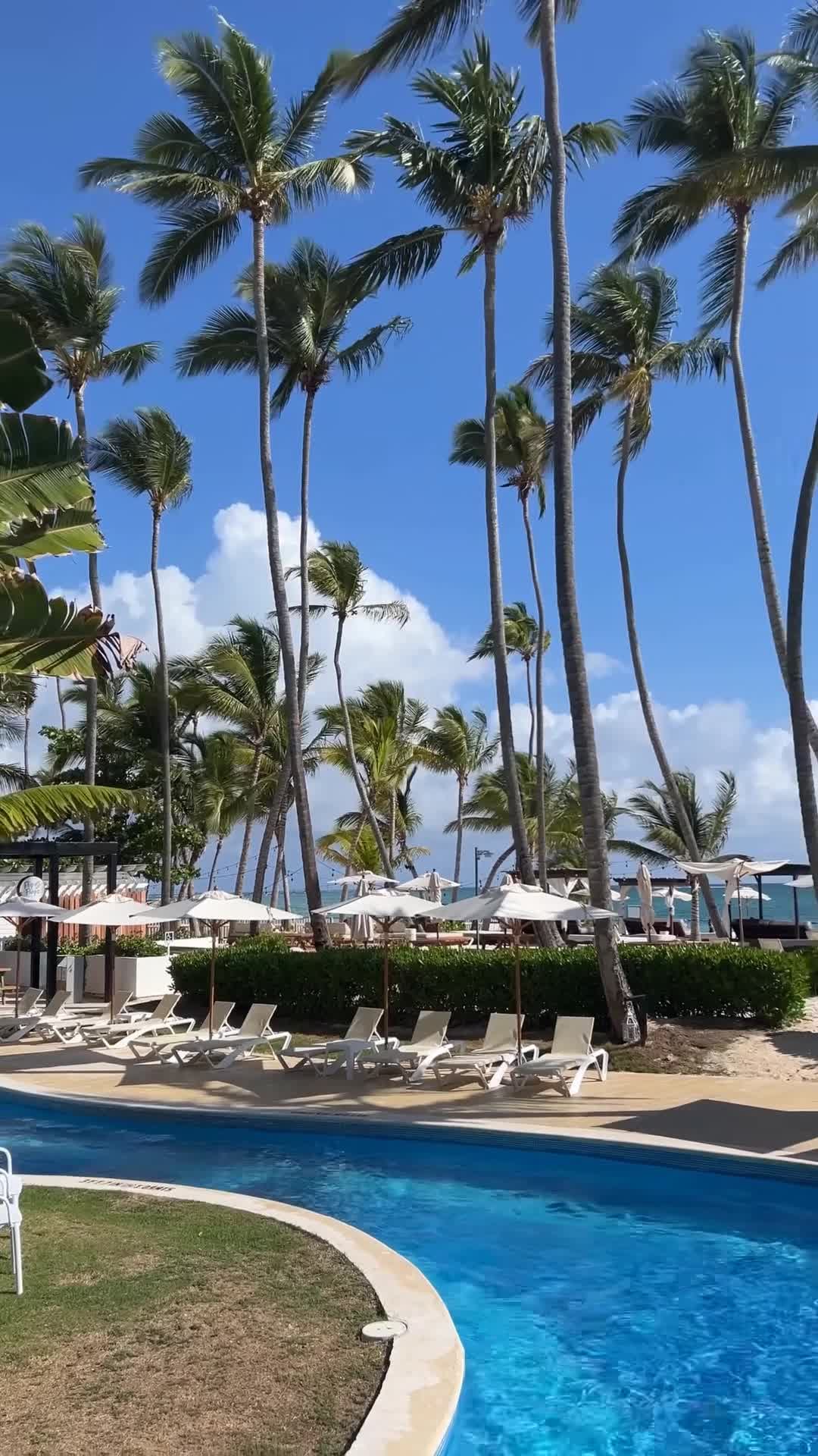Vidéo de créateur