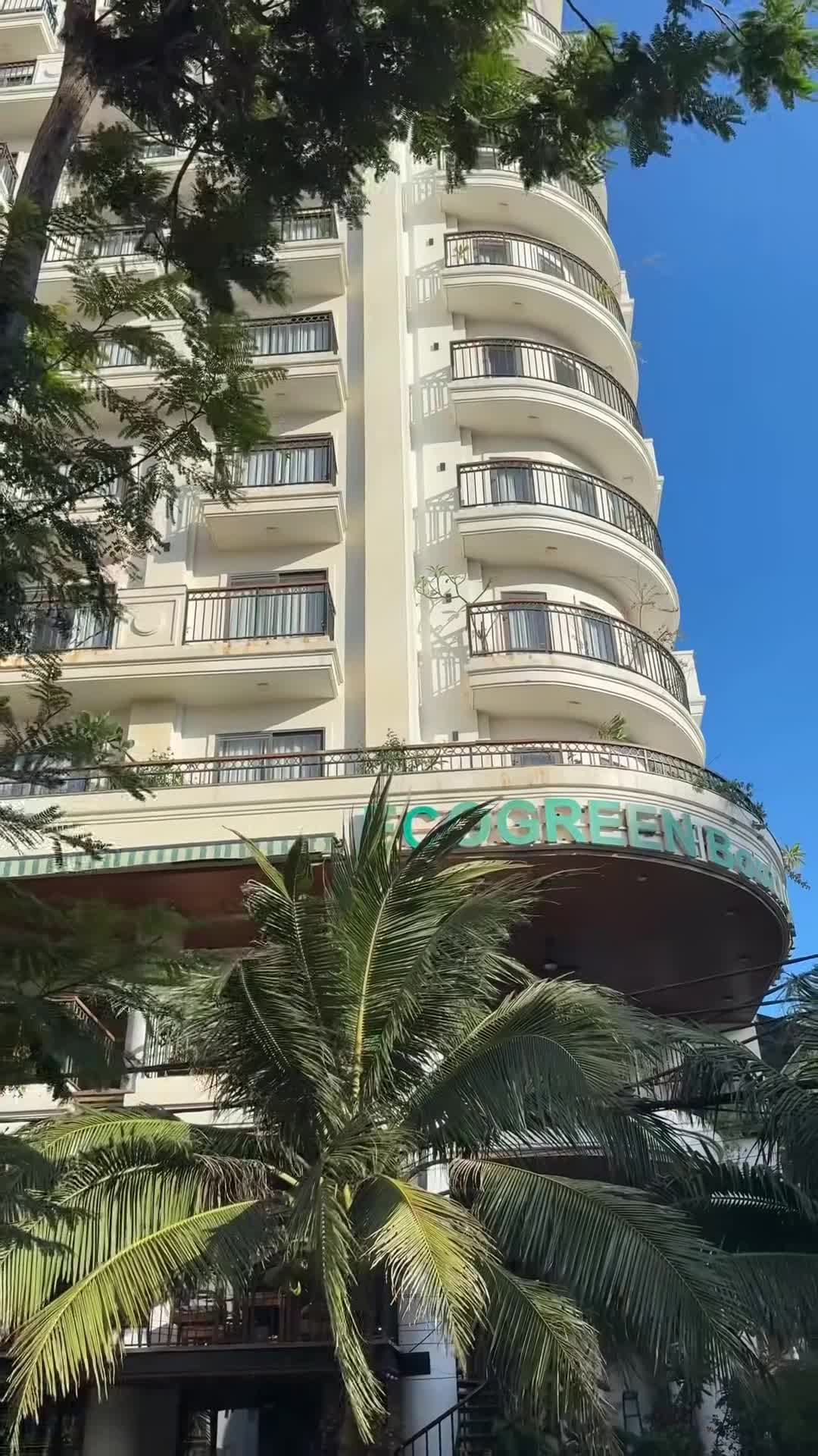 Video pencipta