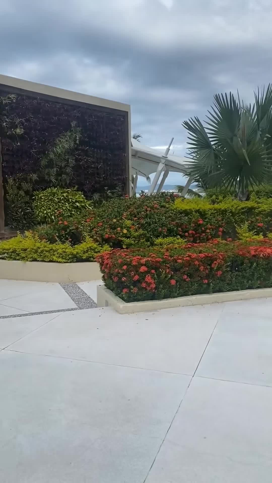 Creator video