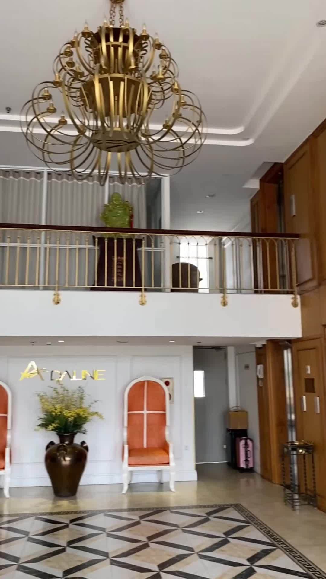 Video của nhà sáng tạo