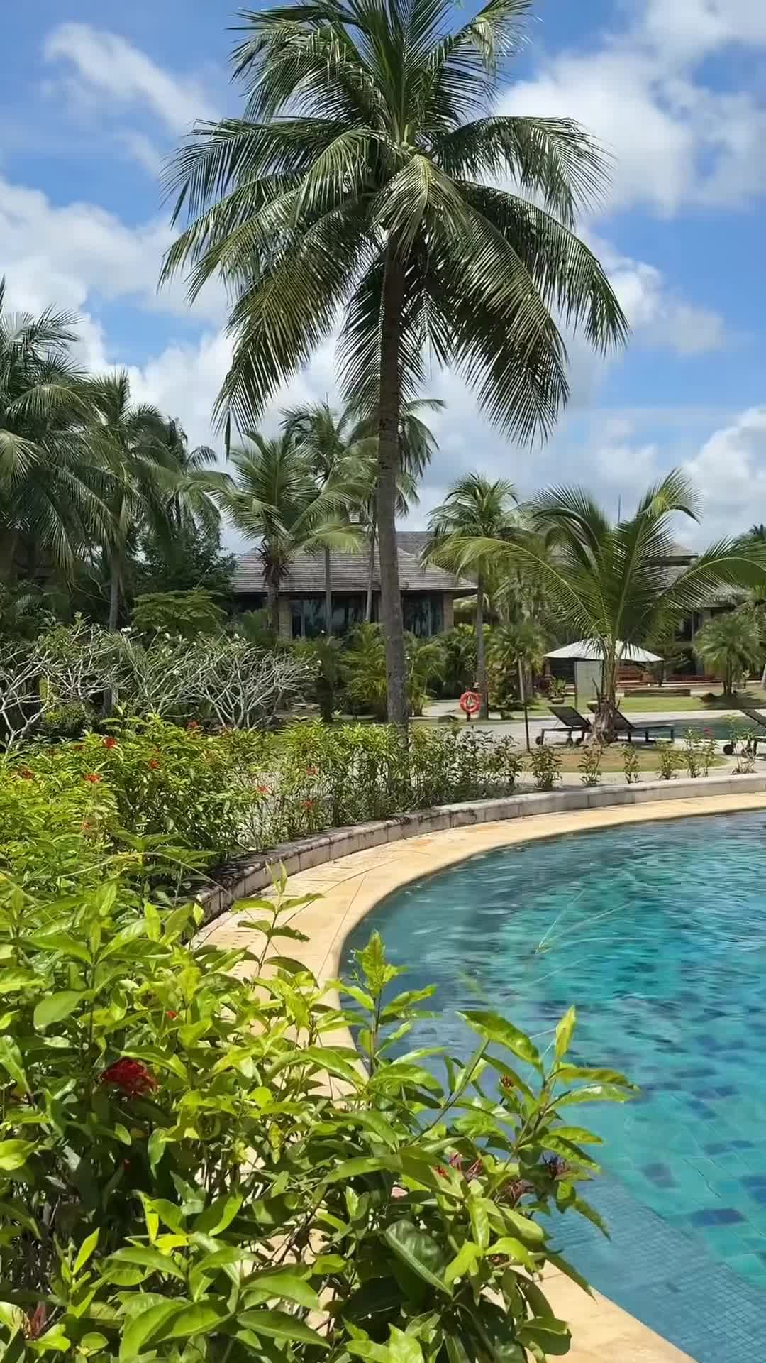 Vidéo de créateur