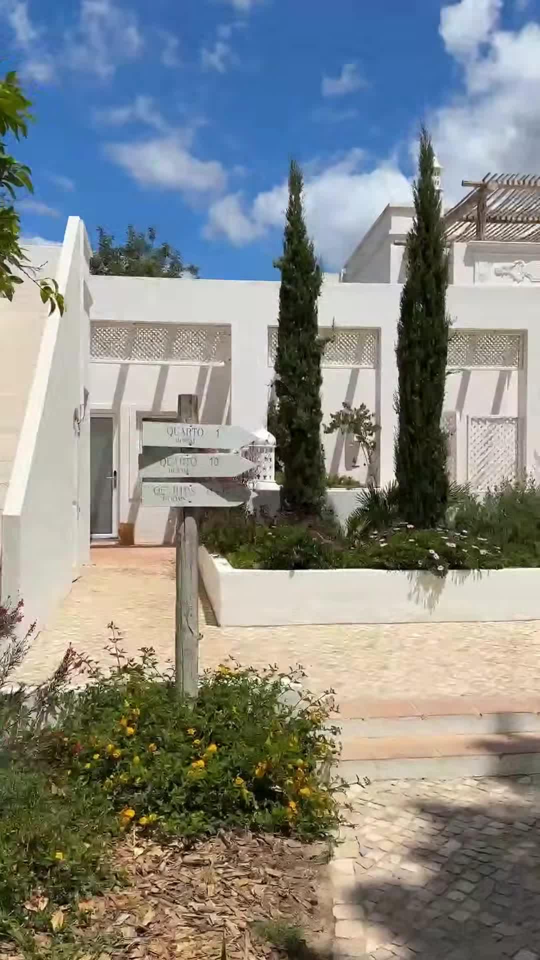 Creator video