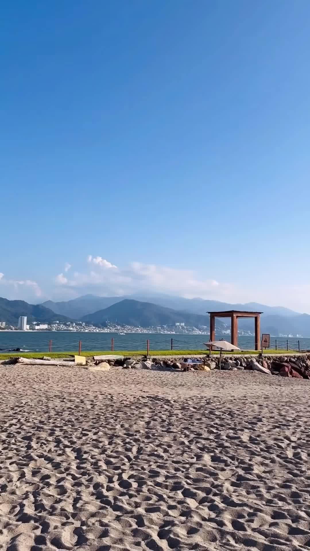 Creator video