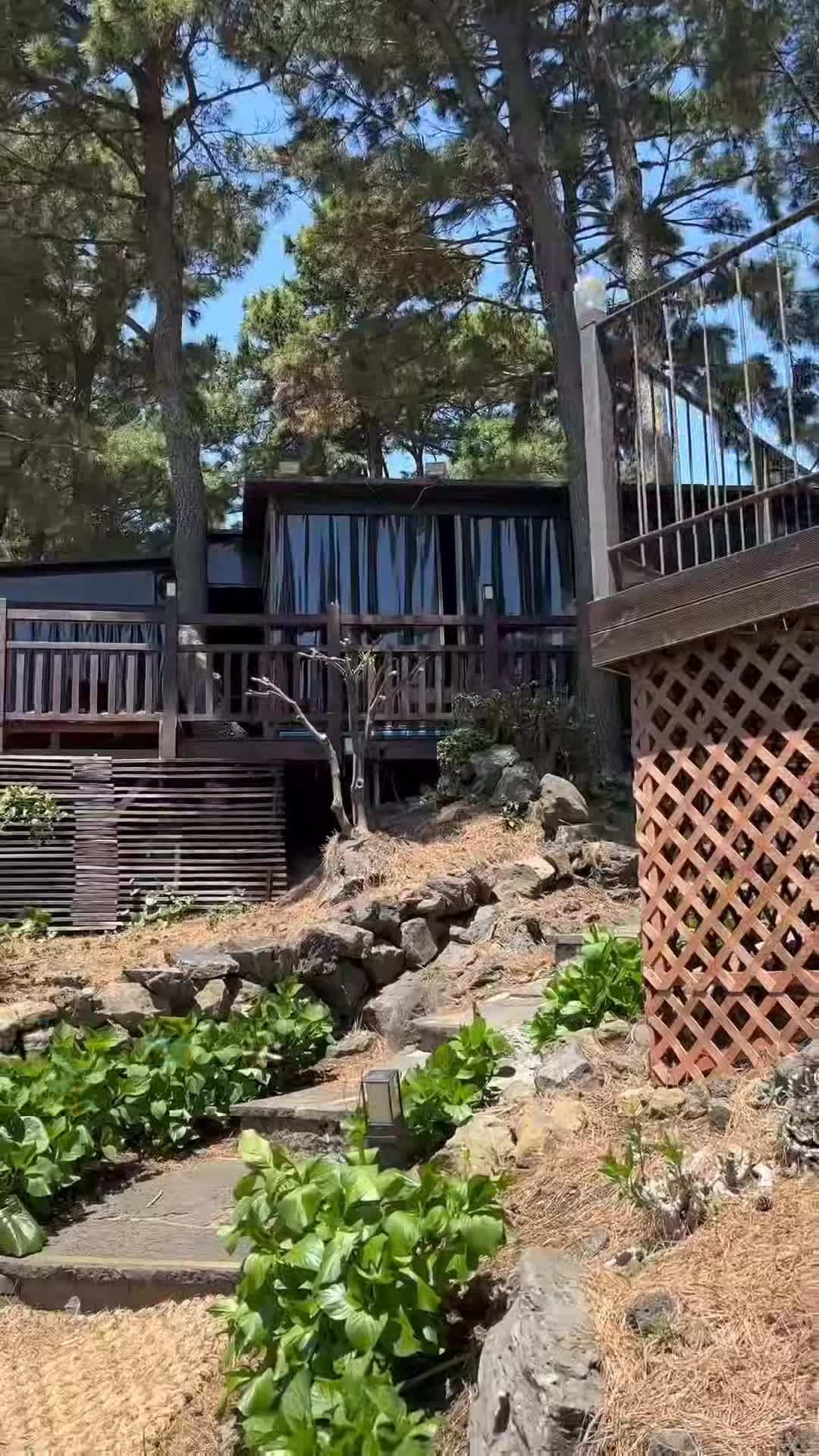 Creator video