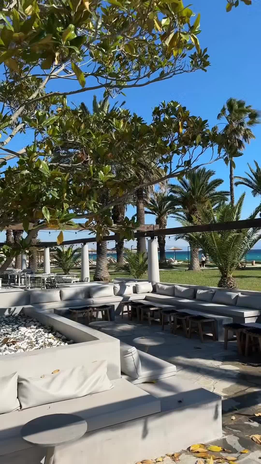 Creator video