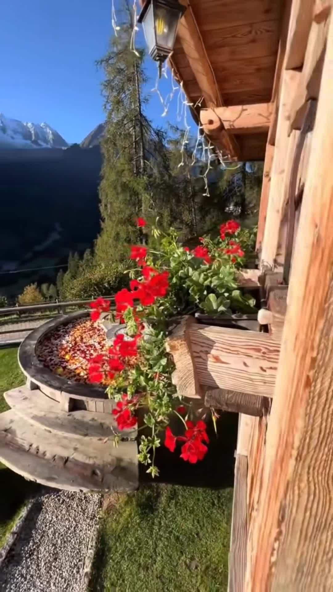 Vidéo du créateur