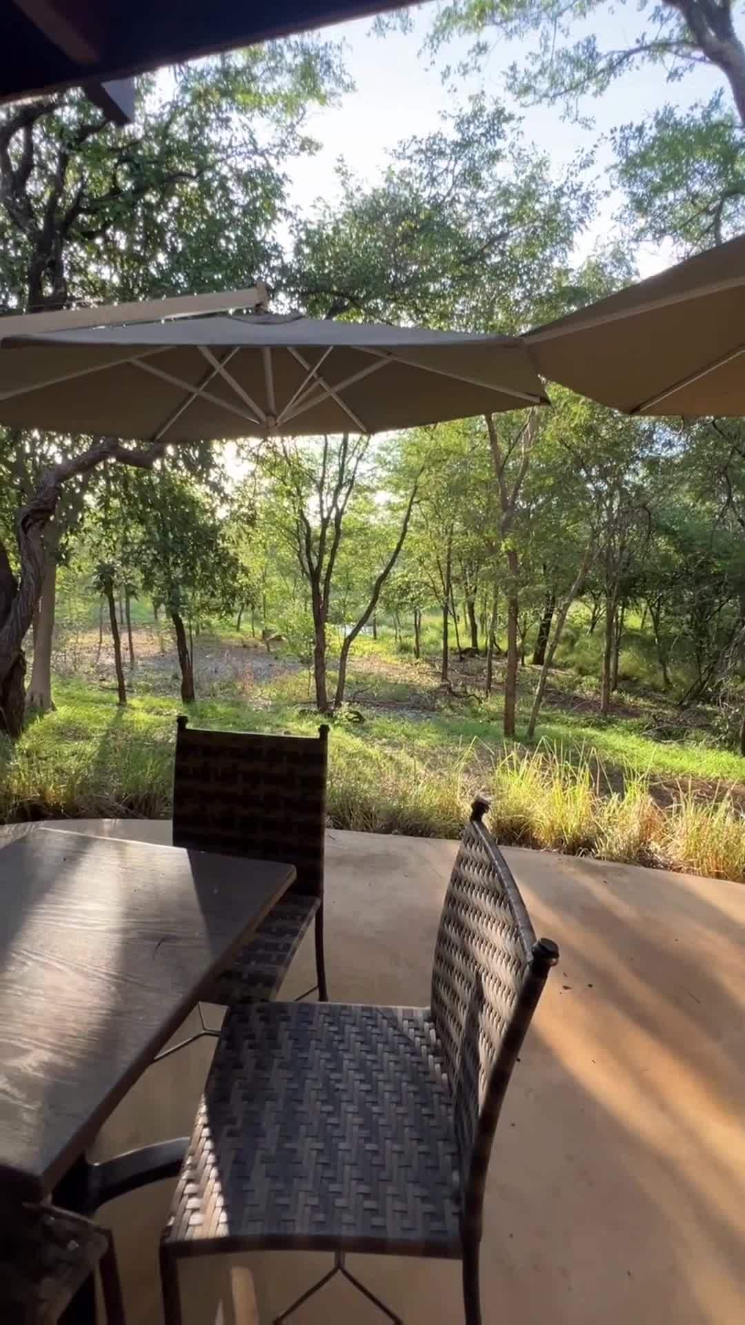 Creator video