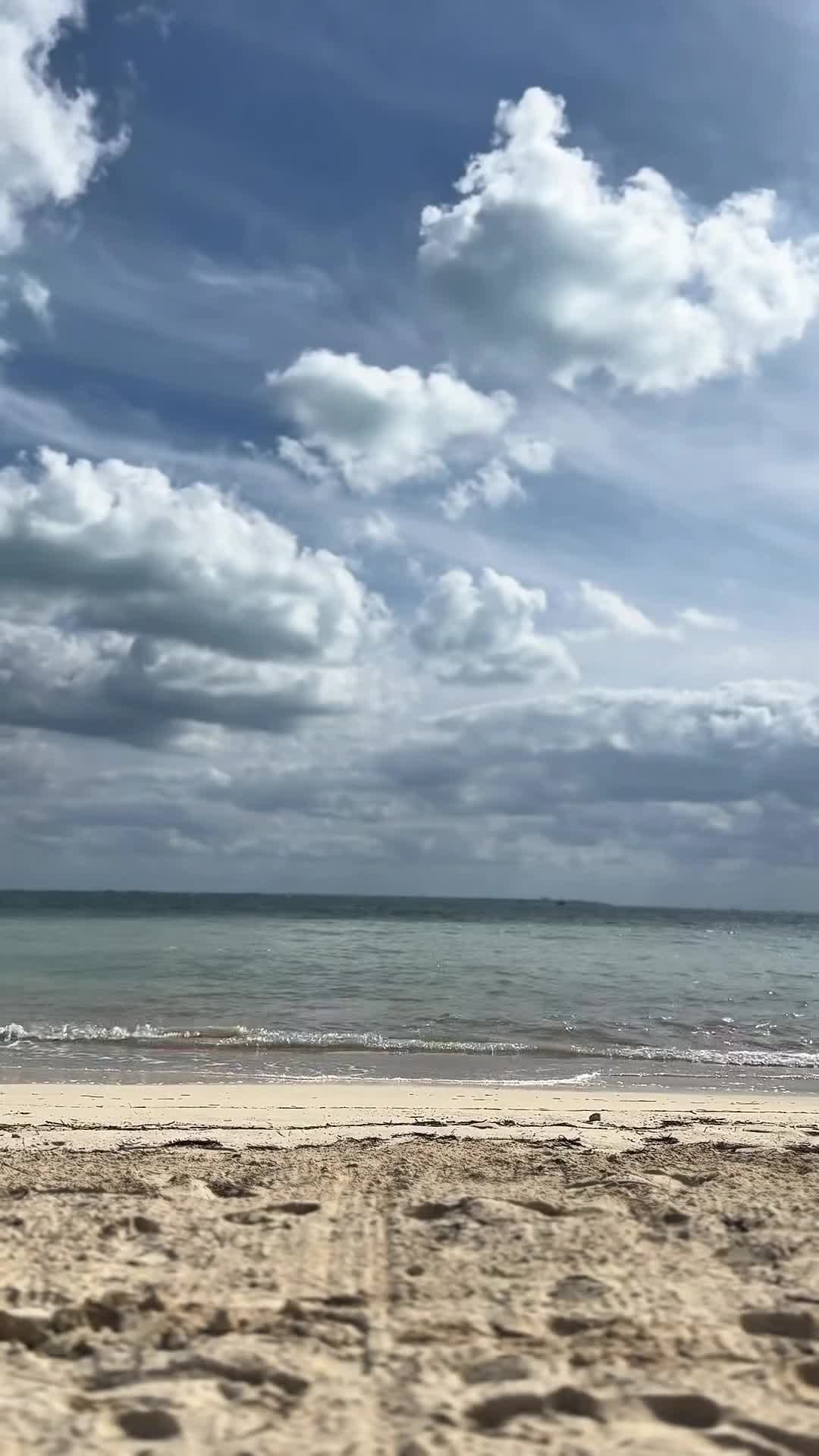 Creator video - submitted by Alyssa Knight