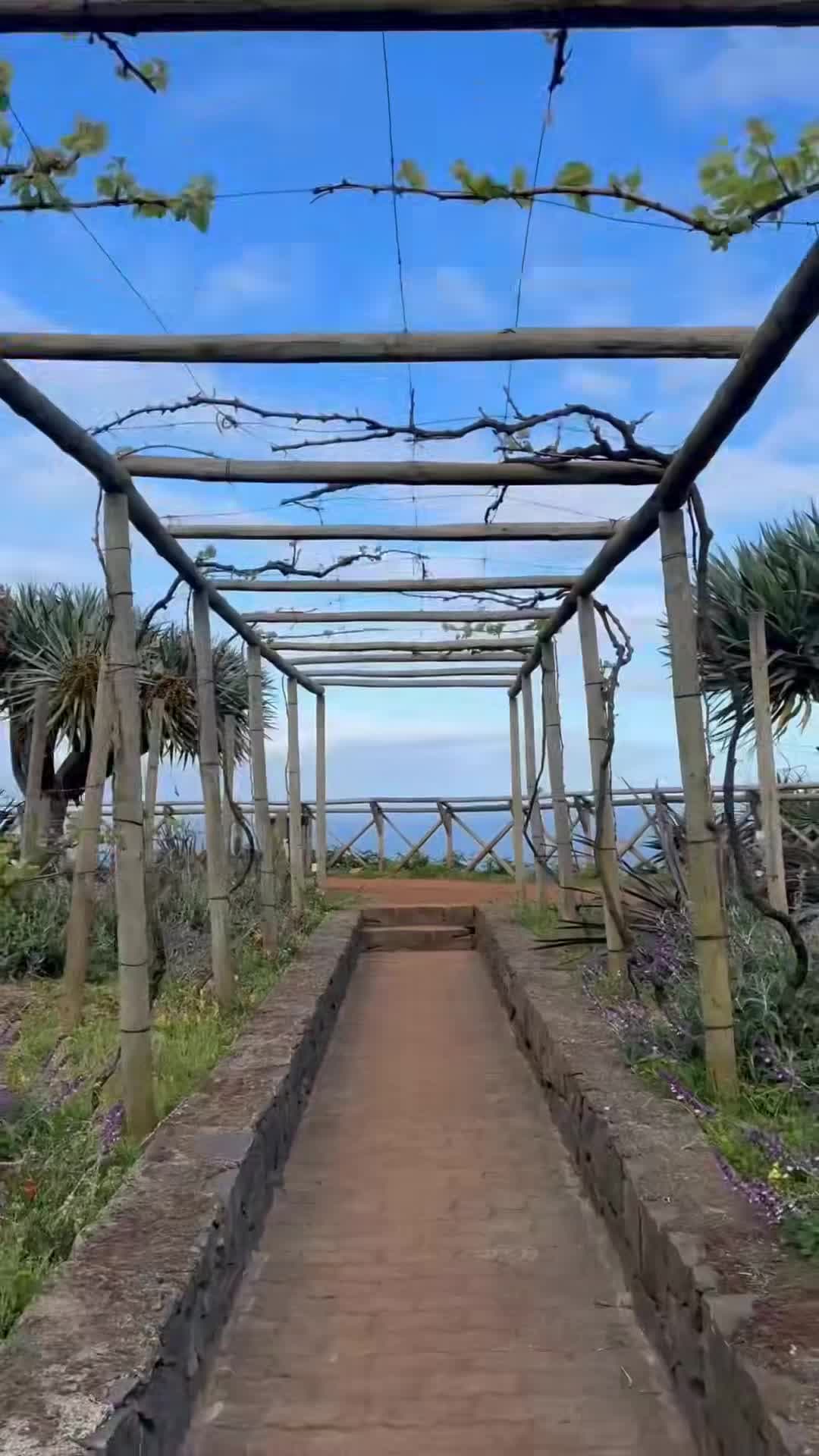 Vidéo du créateur